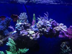 Dzidziusiowo 08.04.2016