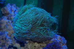 s0.zmniejszacz.pl DSC 0844 zmniejszacz Pl 951938