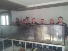 Wniesione do domu :)