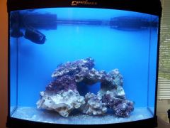 dz003 pierwsza skala