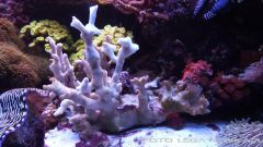 morskie 2013 12 15 03