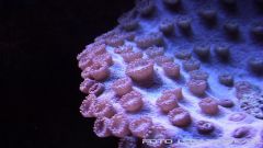 morskie 2013 12 15 11