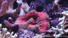 morskie 2013 12 15 02