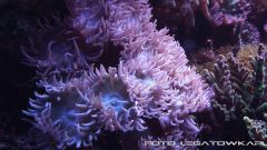 morskie 2013 12 15 05