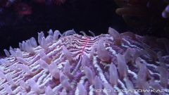 morskie 2013 12 15 04