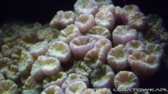 morskie 2013 12 15 01