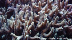 morskie 2013 12 15 08