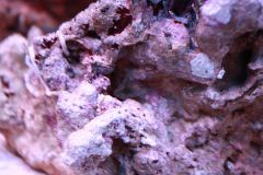 rurówka czy szklana gwiazda