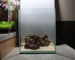 start, ułożenie kamieni