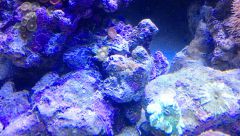 IMG 20150205 162612 269