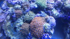 IMG 20150205 162603 126