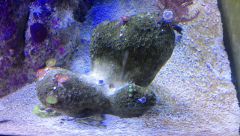 IMG 20150205 163048 178