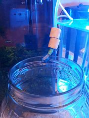 test automatycznej dolewnki