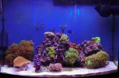 Pół roku - dzienne