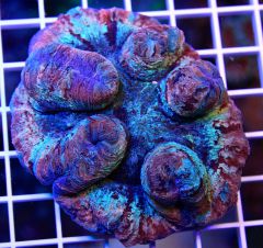 user31695 pic167375 1388420732