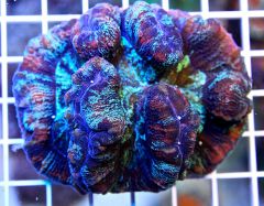 user31695 pic167376 1388420732