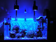 Kessil A360WE