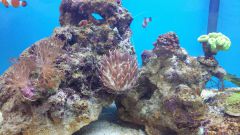 Quadri zlalazl miejsce