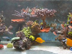 ułożenie skały - środek