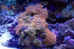 received 986862598052629