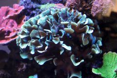 12050513 986862561385966 288104692 O