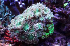 12050774 986862588052630 574933874 O