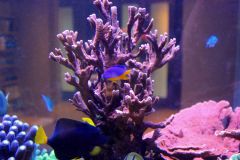 received 986862584719297