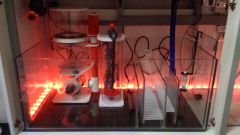 20141114 212152 resized