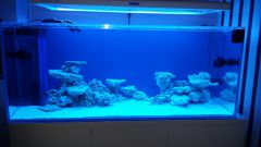 20141130 174739 resized