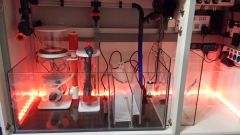 20141114 212134 LLS resized