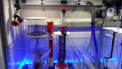 20141118 224245 resized