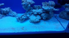 20141219 172136 resized