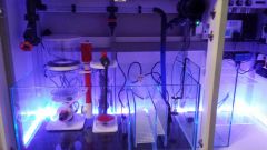 20141114 212217 resized