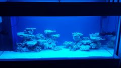 20141228 204748 resized