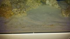 20141216 203924 resized