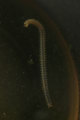 IMG 4472