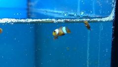 1688086 10202796286604216 2129794086 N