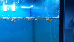 1488018 10202796284524164 919326367 N