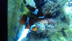 1795477 10202747532865403 158669058 N