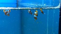 1794800 10202796287444237 1028632102 N