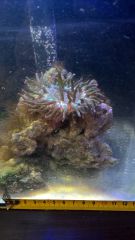 WP 20160722 10 59 02 Pro