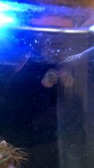 WP 20160803 12 36 21 Pro