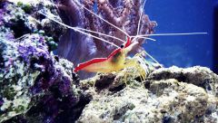 960262 178947028931882 991482011 n[1]