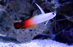 941717 176971025796149 1215458139 n[1]