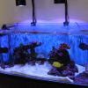 Akwarium 3