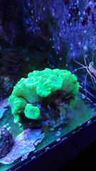 1456858644415105924337