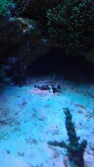 1462645751930 713620192