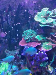 1460205168870 1322592618