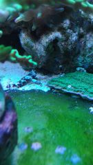 1462645829292 2042094225