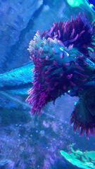 1456858714092 677494714